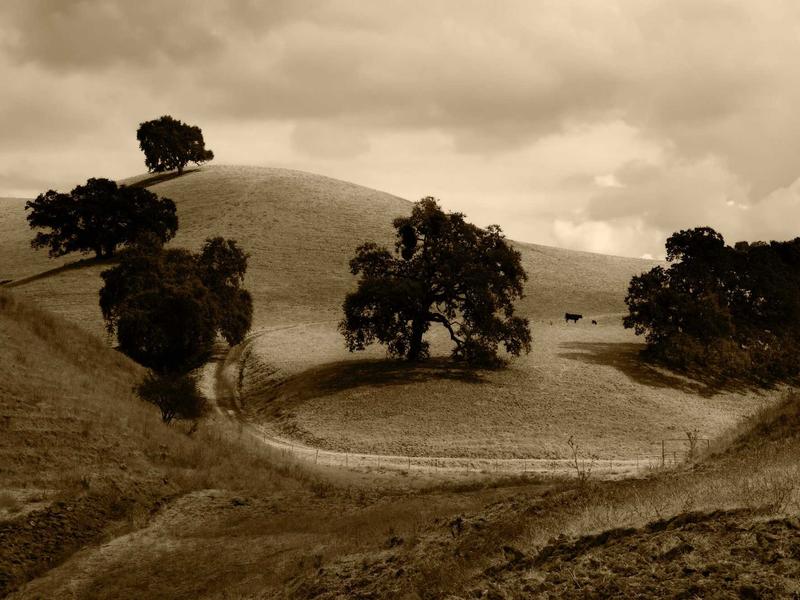 sudoku offline mode screenshot 2